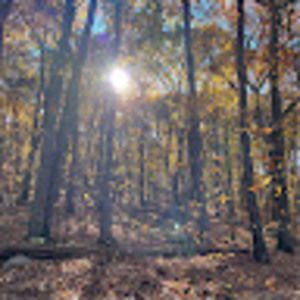 Meet your Posher, Heeeun